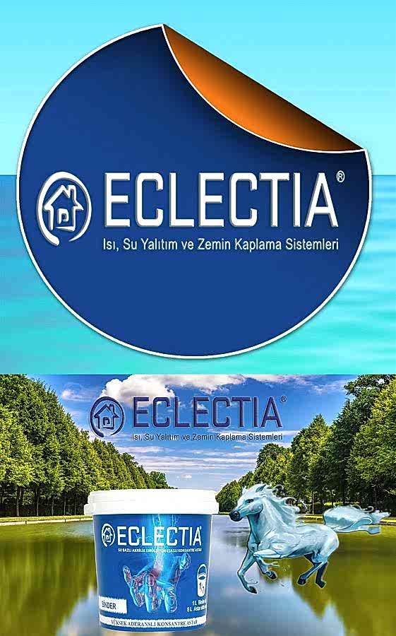 Organizasyon Şeması